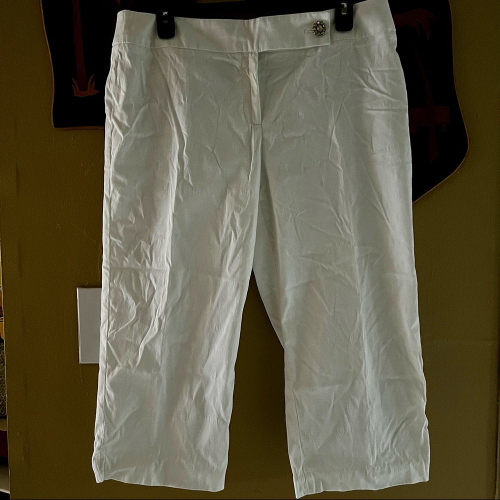 Dalia Casual capri pants size 14P